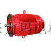 EP系列高效率電機(jī)