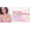女性經(jīng)濟(jì)的時(shí)代，蘭黛麗莎內(nèi)衣加盟火熱進(jìn)行