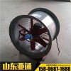 亞通供應(yīng)FT35-11型軸流式防爆低噪聲風(fēng)機
