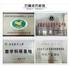 石榴樹(shù)苗基地  成活率高  成活率100%