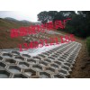 水泥護(hù)坡模具介紹  水泥護(hù)坡模具供不應(yīng)求