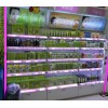 襄樊美容院美容護膚保養化妝品產品貨源批發供應，種類全，保效果