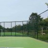咸陽市浸塑球場圍欄 藍色勾花鐵絲護欄 籃球場圍網定制
