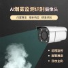 煙霧智能識別報警攝像頭 消防自動監(jiān)測預(yù)警系統(tǒng)攝像機