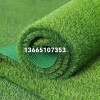 幼兒園草坪效果圖 幼兒園草坪使用年限 幼兒園人工草坪定制